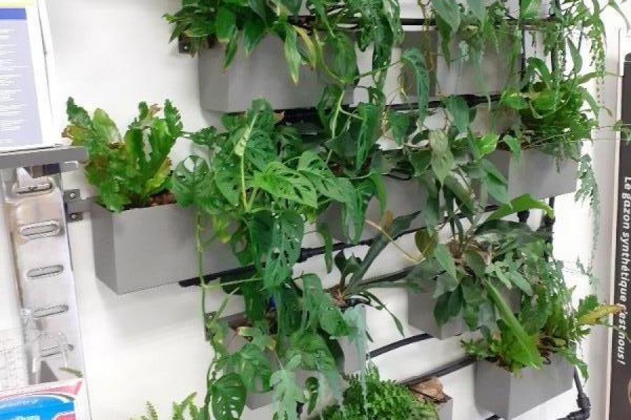 A LA SOURCE DU JARDIN , le prototype de notre mure végétalisé est déjà visitable  